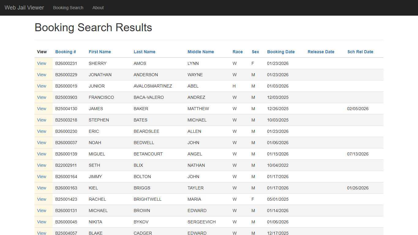 BookingSearchDetail - Web Jail Viewer